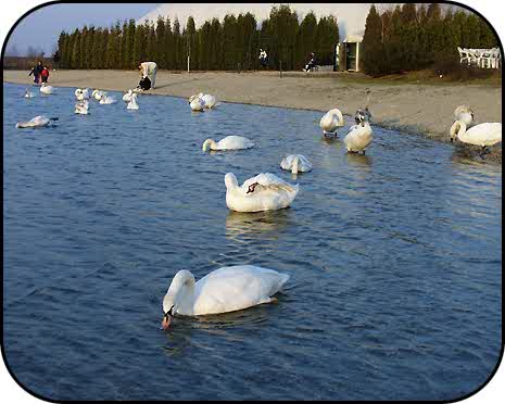 Aquacity - view of a beach at one of Varazdin lakes (often referred to as the Varazdin sea)